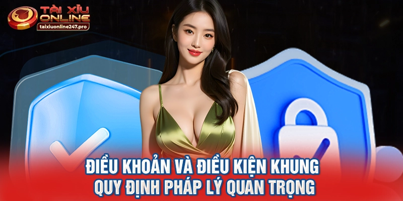 Điều khoản và điều kiện khung quy định pháp lý quan trọng