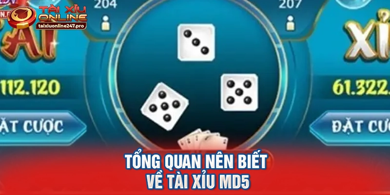 Tổng quan nên biết về tài xỉu MD5