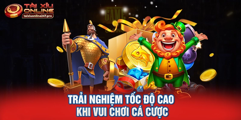 Trải nghiệm tốc độ cao khi vui chơi cá cược